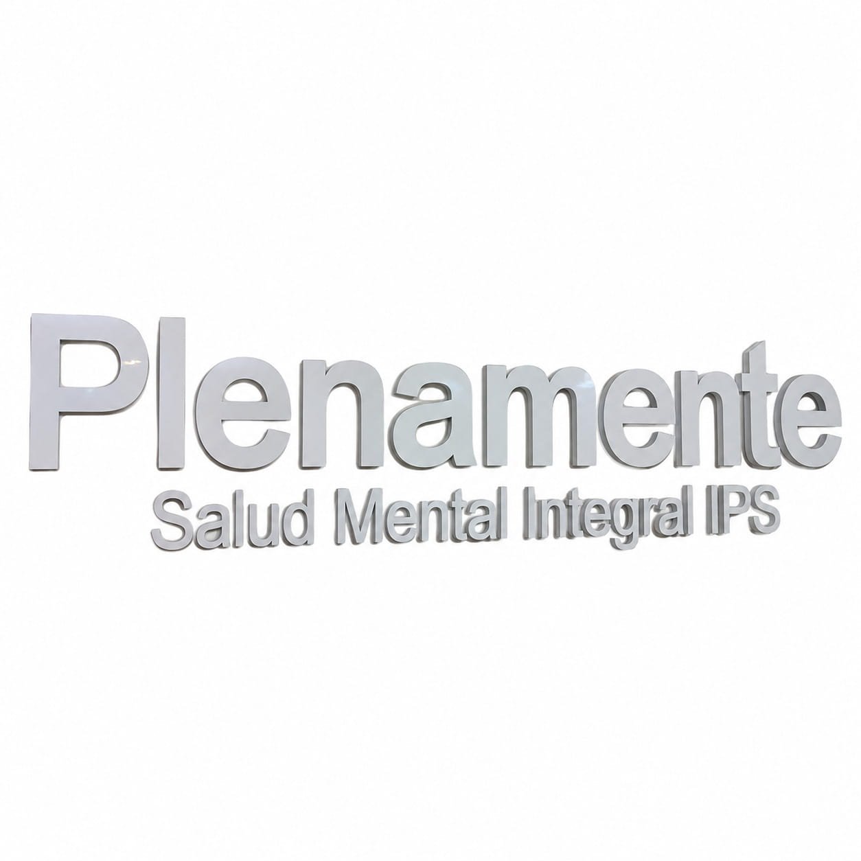 Logo interno - Logo en Acrilico blanco